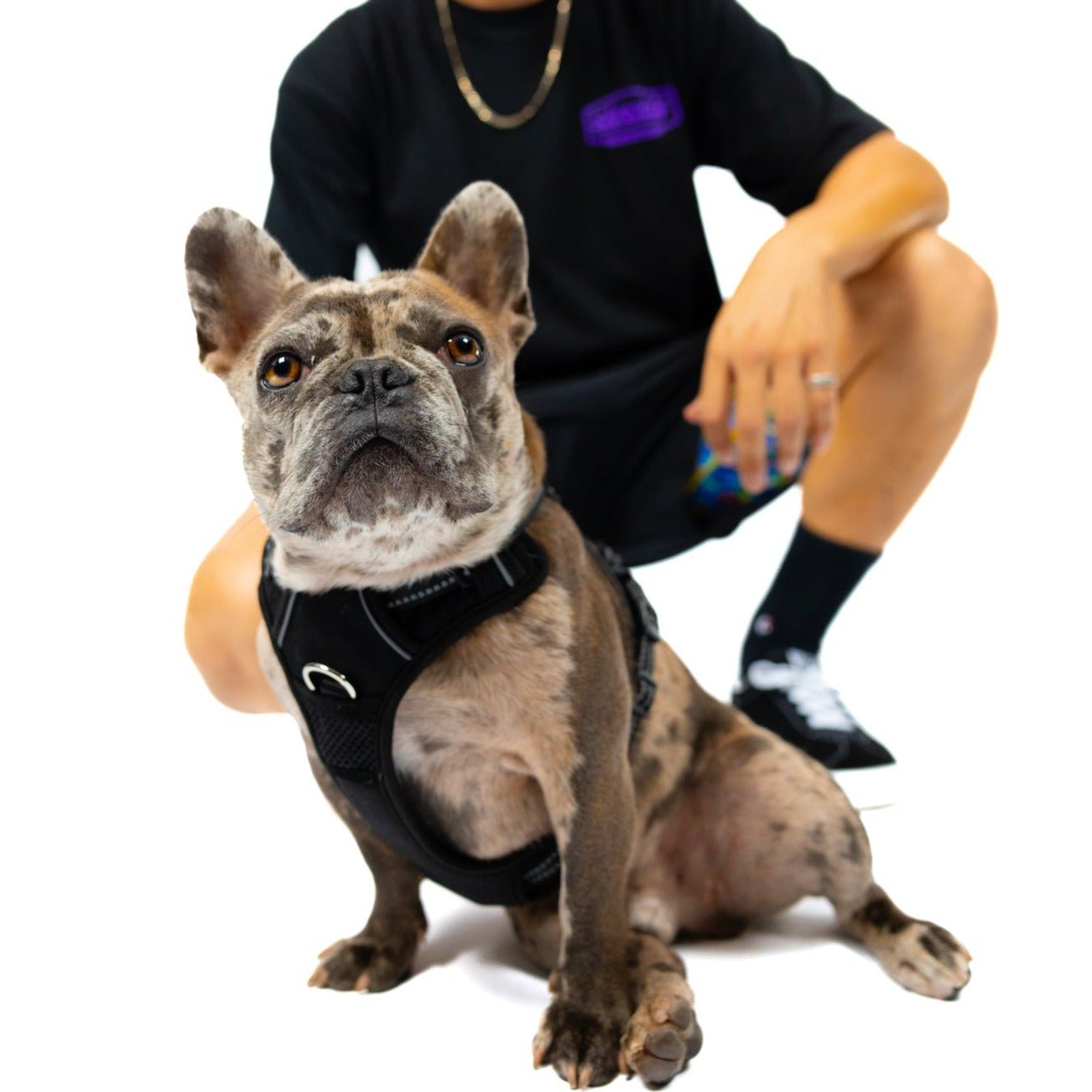 Krispy Shirt Black (Mens) - Shreddy